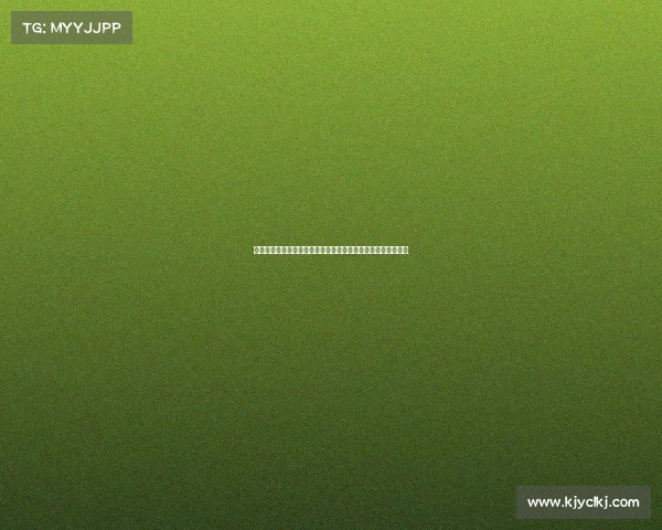 城市赛要求、城市申办大型赛事全流程解析与核心步骤详解指南