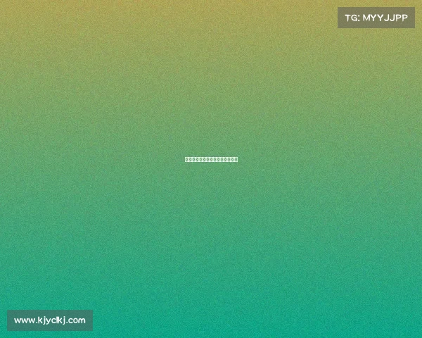 自由搏击赛事秩序册自由搏击赛制