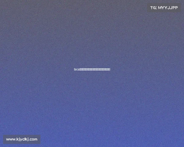 taca赛事全面攻略掌握核心技巧成就竞技巅峰时刻